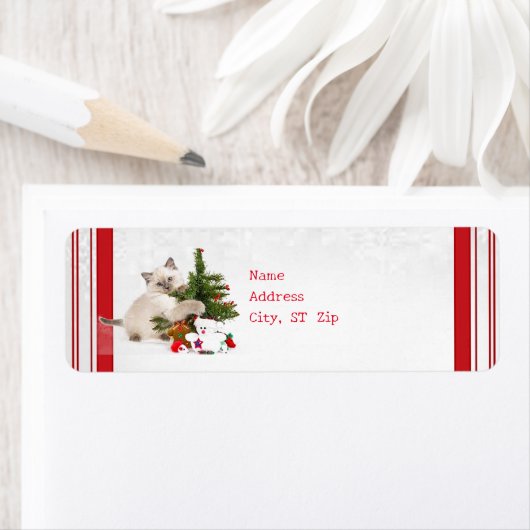 Weihnachts-Kitty-Rücksendeadresse (Insitu)
