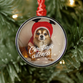Weihnachts-Kutness Niedlich Pet Holiday Ornament