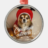 Weihnachts-Kutness Niedlich Pet Holiday Ornament (Vorne)
