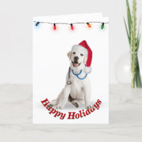 Weihnachts Labrador Retriever Doctor