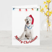 Weihnachts Labrador Retriever Doctor Karte (Gelbe Blume)