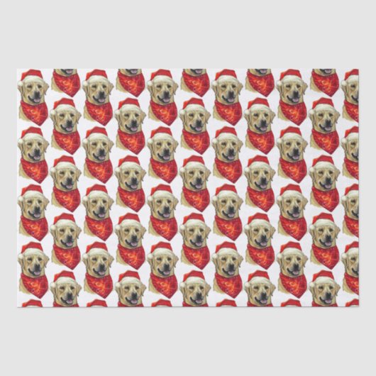 Weihnachts-Labrador Seidenpapier (Vorderseite)