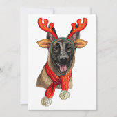 Weihnachts-Malinois-Hund Save The Date (Vorderseite)