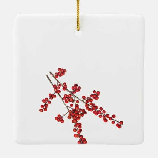 Weihnachts-Monogramm Rot & Grün Keramikornament (Rückseite)