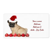 Weihnachts-Mops (Vorne)