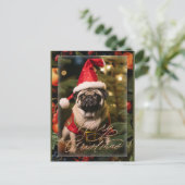 Weihnachts-Mops Elf Feiertagspostkarte (Stehend Vorderseite)