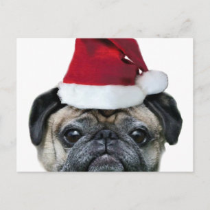 Weihnachts-Mops Feiertagspostkarte