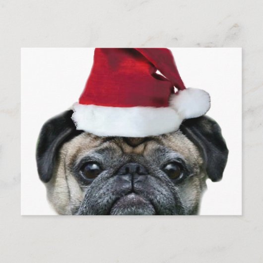 Weihnachts-Mops Feiertagspostkarte (Vorderseite)