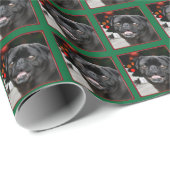 Weihnachts-Mops Geschenkpapier (Rolleneckpunkt)