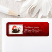 Weihnachts-Mops in Weihnachtsmannmütze mit Weihnac (Insitu)