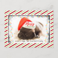 Weihnachts-Mops in Weihnachtsmannmütze mit Weihnac