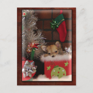 Weihnachts Niedlicher Chihuahua Welpe in Box Feiertagspostkarte