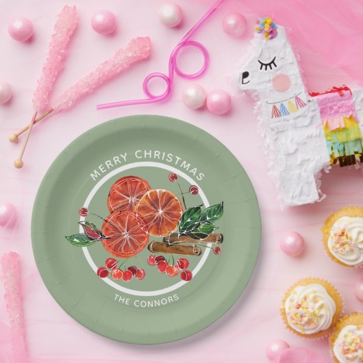 Weihnachts Orange Slices Cinnamon Sticks Berries Pappteller (Party)