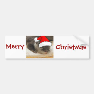 Weihnachts-Otter Autoaufkleber