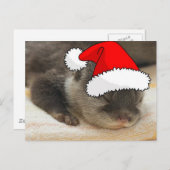 Weihnachts-Otter Feiertagspostkarte (Vorne/Hinten)