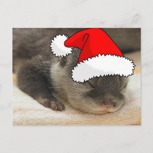 Weihnachts-Otter Feiertagspostkarte (Vorderseite)