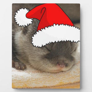 Weihnachts-Otter Fotoplatte