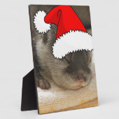 Weihnachts-Otter Fotoplatte (Seite)