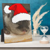 Weihnachts-Otter Fotoplatte (Seite)