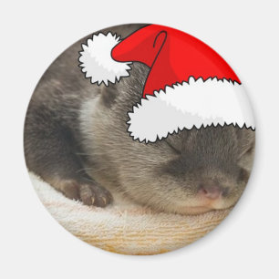 Weihnachts-Otter Magnet