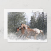 Weihnachts-Pferd-Postkarten Feiertagspostkarte (Vorne/Hinten)