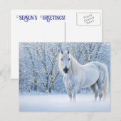 Weihnachts Pferd Schnee Lichter Feiertagspostkarte (Vorne/Hinten)