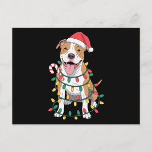 Weihnachts-Pitbull-Hund-Santa-Hut-Lichter-Zuckerst Feiertagspostkarte