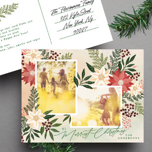 Weihnachts-Poinsettia-Botanik-Foto-Collage Feiertagspostkarte