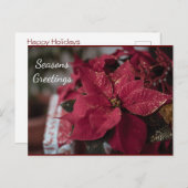 Weihnachts-Poinsettia-Frohe Festtage Postkarte (Vorne/Hinten)