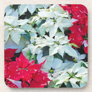 Weihnachts-Poinsettien-Untersetzer Getränkeuntersetzer