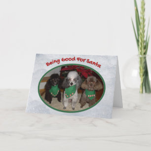 Weihnachts-Poodles sind gut für Weihnachtsfeiertag Karte