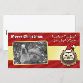 Weihnachts-Pygmäen-Igel Feiertagskarte (Vorne/Hinten)