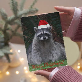 Weihnachts-Raccoon in Weihnachtsmannmütze Foto Feiertagskarte