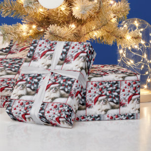 Weihnachts-Ragdoll-Katze In einer Weihnachtsmannmü Geschenkpapier