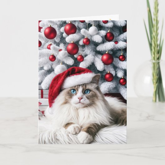 Weihnachts-Ragdoll-Katze In einer Weihnachtsmannmü Karte (Vorderseite)