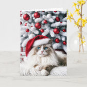 Weihnachts-Ragdoll-Katze In einer Weihnachtsmannmü Karte (Gelbe Blume)