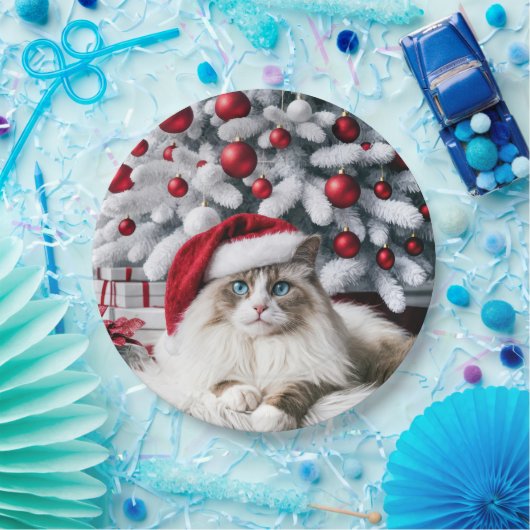 Weihnachts-Ragdoll-Katze In einer Weihnachtsmannmü Pappteller (Party)