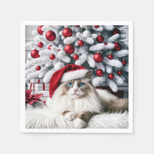 Weihnachts-Ragdoll-Katze In einer Weihnachtsmannmü Serviette (Vorderseite)
