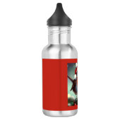 Weihnachts-Robin 2 Edelstahlflasche (Links)