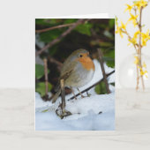 Weihnachts-Robin im Schnee Karte (Gelbe Blume)