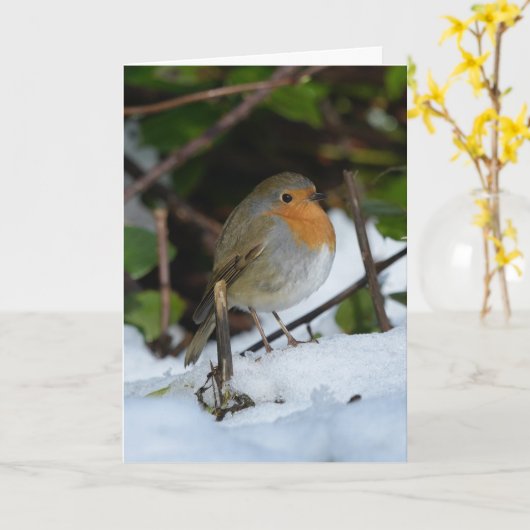 Weihnachts-Robin im Schnee Karte (Gelbe Blume)