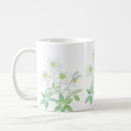 Weihnachts-Rose, Helleborus niger Kaffeetasse (Links)