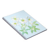 Weihnachts-Rose, Helleborus niger Notizblock (Rechte Seite)