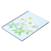 Weihnachts-Rose, Helleborus niger Notizblock (Linke Seite)