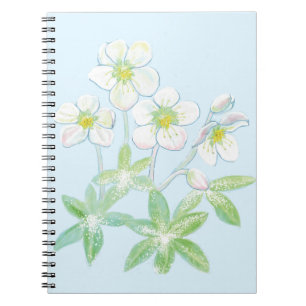 Weihnachts-Rose, Helleborus niger Notizblock