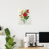 Weihnachts-Rose, Helleborus niger Poster (Heimbüro)