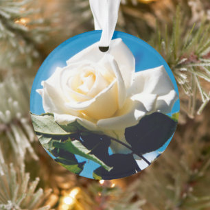 Weihnachts-Rose - Leben feiern Ornament