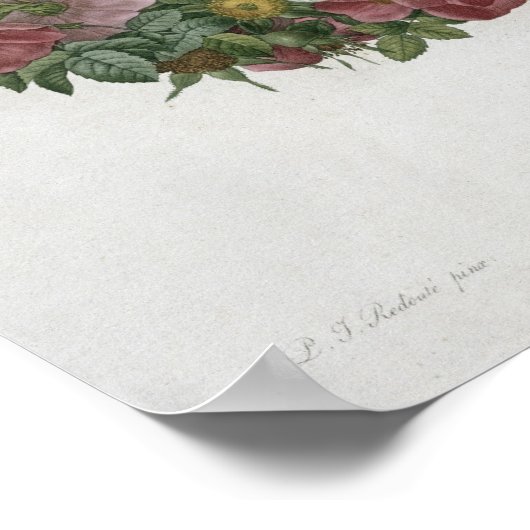 Weihnachts-Rose Poster (Ecke)