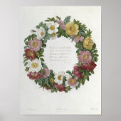 Weihnachts-Rose Poster (Vorne)