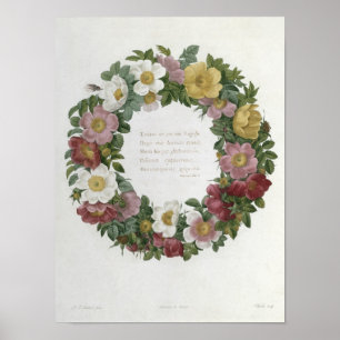 Weihnachts-Rose Poster